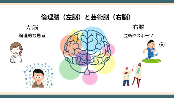 倫理脳（左脳）と芸術脳（右脳）